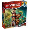 LEGO Ninjago Chrám dračej energie 71795