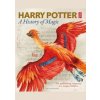 Harry Potter - A History of Magic: The Book of the Exhibition - autor neuvedený