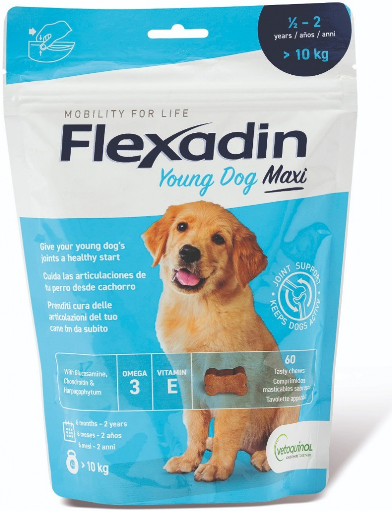 Flexadin 4Life Young Dog Maxi žvýkací 60tbl