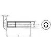 skrutka M6x30 A2 NEREZ polguľatá hlava s límcom TORX 30 ISO 7380-2T [1 ks]