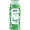Dixi šampón Breza 250 ml