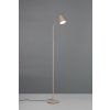 TRIO Reality R45831143 PONGO stojacia lampa v1450mm SMD LED 4,5W/500lm 3000K béžová