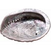 Nefertitis Abalón leštená mušle vykurovacia miska L 16 až 18 cm NF42892 - cca 16 až 18 cm