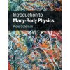 Introduction to Many-Body Physics (Piers Coleman)(Pevná)