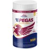 Vitar Veterinae ArtiVit Pegas MSM 720g