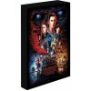 Obraz LED svietiace 30x40 cm - Stranger Things