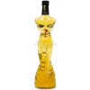 Kamasutra Vodka 25% 0,5 l (čistá fľaša)