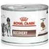 Royal Canin VHN Recovery Konzerva 195 g