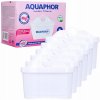 AQUAPHOR filtračná vložka MAXFOR+ Mg Pack 6- pČervenái ťažkým kovom, vápnu a chlóru, s horčíkom, pre AQUAPHOR Onyx, Amethyst, Jasper, Time