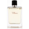 Hermès Terre D'Hermès EDT 100 ml M