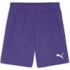 Puma | teamGOAL Shorts | fialová| L
