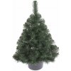 Vianočný stromček v kvetináči Borovica FREYA 80 cm, Zelená, 80 cm
