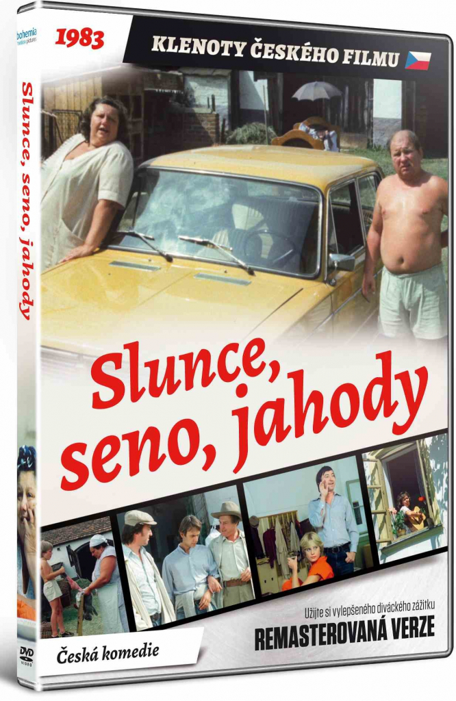 Slunce, seno, jahody DVD