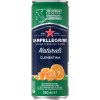 SANPELLEGRINO S.p.A. SANPELLEGRINO mandarínka plechovka 330ml