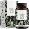 Naturtreu Salbeibrise - koncentrovaný Šalvějový extrak, 120 kapslí