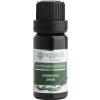 Nobilis Tilia Levanduľa širokolistá (Spaik) éterický olej Objem: 10 ml