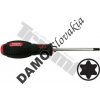 TRIUMF Skrutkovač Torx - nevŕtaný T25 x 100 mm