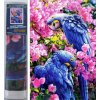 Norimpex Diamantový obraz Modré papagáje 30 x 40 cm 1-39 dielov