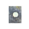Magnetka zrkadlová zlatá 6x6cm