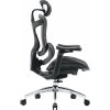 Sihoo Doro C300 L Mesh
