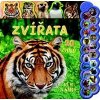 Zvířata 20 zvuků Uč se s námi! - autor neuvedený