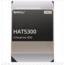 Synology HAT5300 16TB, HAT5300-16T