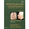 Netter Collection of Medical Illustrations: Nervous System, Volume 7, Part I - Brain