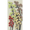 Samolepiace fototapety Dimex Plant 95 x 210 cm D038 (Fototapeta na dvere)