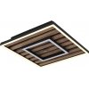 Globo lighting 67345D WOODY Stropné svietidlo