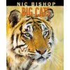 Nic Bishop Big Cats
