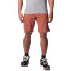 Columbia Silver Ridge Utility Cargo short M 2030744229 auburn