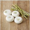 Ponio Tuhý šampon Šampúch Verze: Tea tree a lemongras / Balení: 60 g