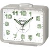 CASIO TQ-218-8EF CASIO (107)