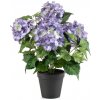 Umelá kvetina Hortenzia modrá v kvetináči, 38cm