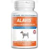 ALAVIS MSM + Glukosamin sulfát 60 tbl.