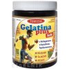 TEREZIA Gelatina Plus želé 1x120 ks