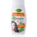 Šampón BC Bione Cannabis šampón na vlasy proti lupům 260 ml