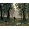Zuty – Maľovanie Podľa Čísel – Dážď V Dubovom Lese (Ivan Shishkin), 40 × 50 cm, Plátno 8596530102205