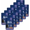 Brit Premium Cat Cod Fish 12 x 100 g
