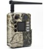 Bolyguard BG310-M