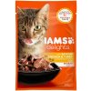 IAMS Cat Delights Chicken & Turkey in Gravy 85 g
