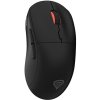 Genesis ZIRCON XIII NMG-2089