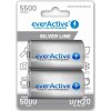 2x Nabíjacie batérie everActive R20 D 5500 mAh Silver Line | Ready to Use