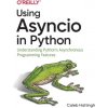Using Asyncio in Python