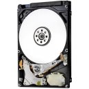 HITACHI GST Travelstar 7K1000 1000GB, 7200RPM, 32MB, SATA, HTS721010A9E630