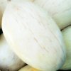 Ribatejo (semená) melón