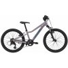 Cannondale Trail 20