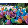 Zuty – Maľovanie Podľa Čísel – Dúhové Tulipány, 80 × 100 cm, Plátno 8596530106388