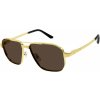 Cartier CT0424S 003