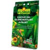 Floria Substrát na zelené rastliny a palmy 20 l